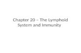Chapter  20  –  The Lymphoid System and Immunity