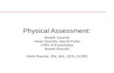Physical Assessment: