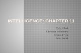 Intelligence: Chapter 11
