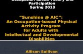 Occupation-based Theory and Participation Spring 2013