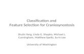 Classification and Feature  Selection for  Craniosynostosis