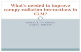 What's needed to improve canopy-radiation interactions in CLM?