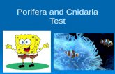 Porifera and Cnidaria Test