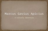 Marcus  Gavius Apicius