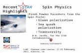 Recent          Spin Physics Highlights