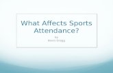 What Affects Sports Attendance?