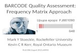 BARCODE Quality Assessment: Frequency Matrix Approach