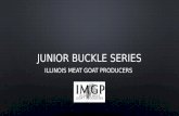 Junior buckle series