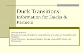Duck Transitions:  Information for Ducks & Partners