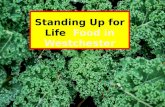 Standing Up for Life   Food in Westchester