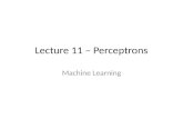 Lecture  11  –  Perceptrons