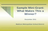 Sample Mini-Grant: What Makes This a Winner? December 2011