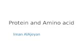 Protein and Amino  acid
