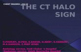 THE CT HALO SIGN