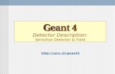 Detector Description: Sensitive Detector & Field