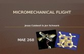 Micromechanical Flight