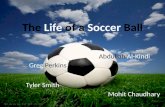 The  Life  of a  Soccer  Ball