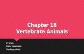 Chapter 18 Vertebrate Animals
