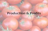 Production & Profits