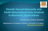Chaotic Neural Networks and  Multi-Dimensional Data Analysis in Biometric Applications