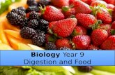 Biology  Year 9 Digestion and Food