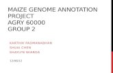 Maize genome annotation project Agry 60000 group 2
