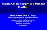 Tilapia Global  Supply  and  Demand  in 2013.