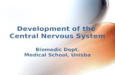 Development of the  Central Nervous System Biomedic  Dept. Medical School,  Unisba