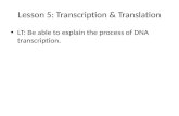 Lesson 5: Transcription & Translation