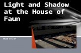 Light and Shadow at the House of Faun