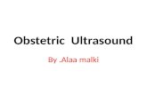 Obstetric   Ultrasound