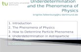 Underdetermination and the Phenomena of Physics