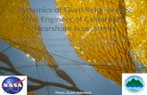 Dynamics of Giant Kelp Forests: The Engineer of California’s Nearshore  Ecosystems
