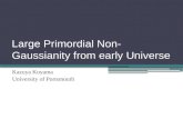 Large Primordial Non- Gaussianity  from early Universe