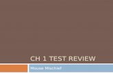 Ch 1 Test Review