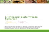 1.4 Financial Sector Trends: Cameroon