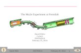 The Mu2e Experiment at Fermilab David Hitlin Caltech INSTR2014 February 25, 2014