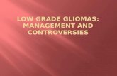 Low grade  gliomas : management and controversies