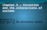 Chapter 9.1 –  Overview of the Excretory System