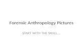 Forensic Anthropology Pictures