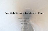 Brackish Stream Treatment Plan