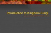 Introduction to Kingdom Fungi
