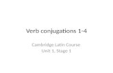 Verb  conjugations 1-4
