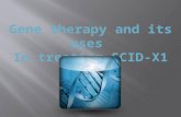 Gene therapy and its uses  In treating SCID-X1