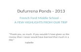 Dufurrena  Ponds - 2013