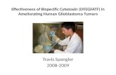 Effectiveness of Bispecific Cytotoxin (DTEGFATF) in Ameliorating Human  Glioblastoma  Tumors