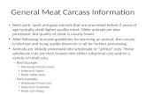 General Meat Carcass Information