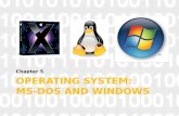 Operating System: MS-DOS and Windows