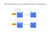 The Equilibrium of Weak Acids and Bases