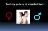 Anatomy ,  puberty  et  sexual  relations